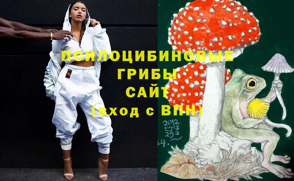 тгк Гусь-Хрустальный