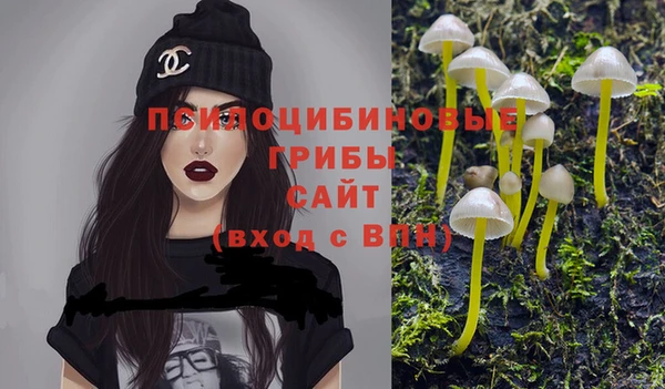 крисы Горно-Алтайск