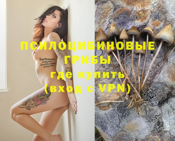крисы Горно-Алтайск