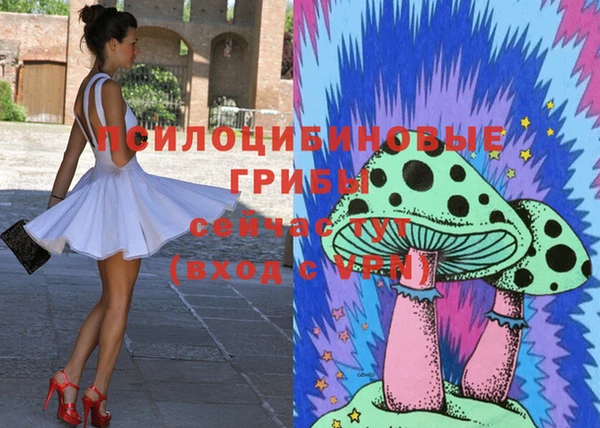 крисы Горно-Алтайск