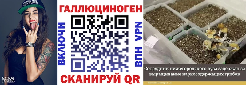 Псилоцибиновые грибы Psilocybine cubensis  Купить  Ревда 